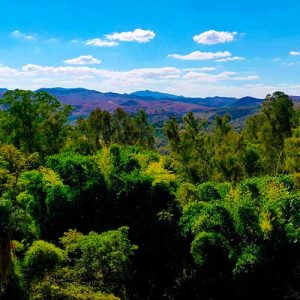 Licenciamento ambiental em Nova Lima